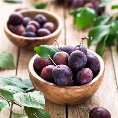 sweetie plum planetsuzy|Sweetie Plum .